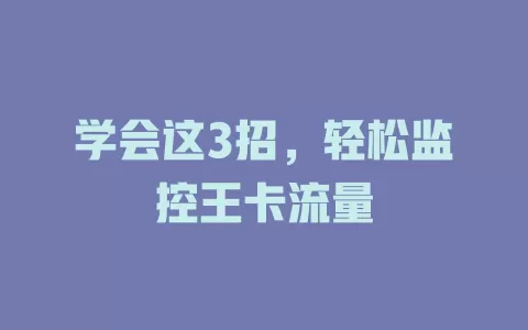 学会这3招，轻松监控王卡流量