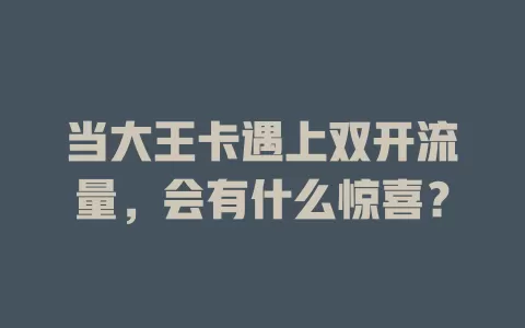 当大王卡遇上双开流量，会有什么惊喜？