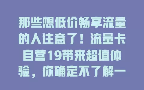 那些想低价畅享流量的人注意了！流量卡自营19带来超值体验，你确定不了解一下？