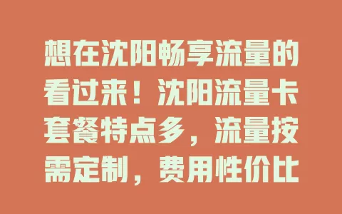 想在沈阳畅享流量的看过来！沈阳流量卡套餐特点多，流量按需定制，费用性价比高，适用场景广，市区郊区网络稳，是沈阳用户上网好选择