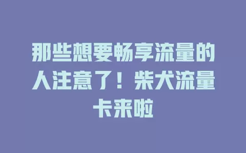 那些想要畅享流量的人注意了！柴犬流量卡来啦