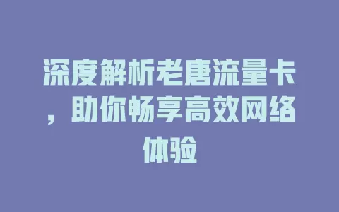 深度解析老唐流量卡，助你畅享高效网络体验