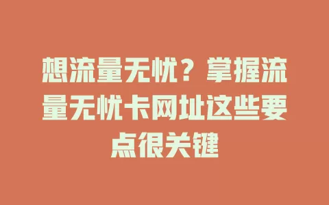 想流量无忧？掌握流量无忧卡网址这些要点很关键