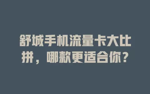 舒城手机流量卡大比拼，哪款更适合你？