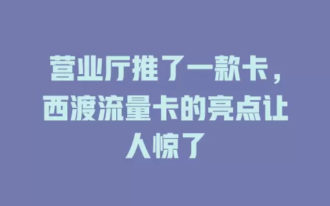 营业厅推了一款卡，西渡流量卡的亮点让人惊了