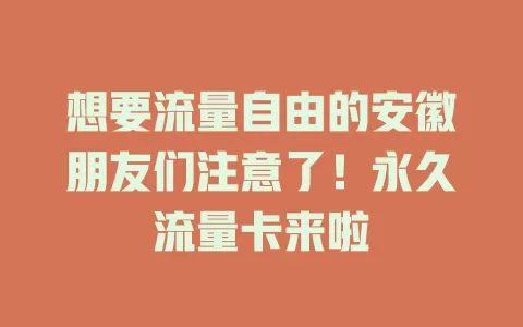 想要流量自由的安徽朋友们注意了！永久流量卡来啦