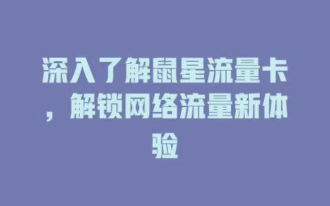 深入了解鼠星流量卡，解锁网络流量新体验