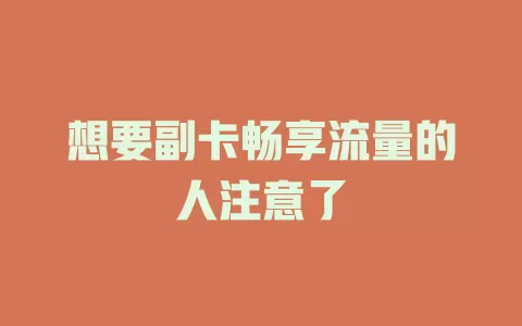 想要副卡畅享流量的人注意了