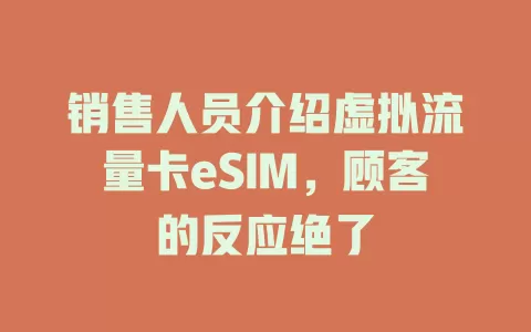 销售人员介绍虚拟流量卡eSIM，顾客的反应绝了