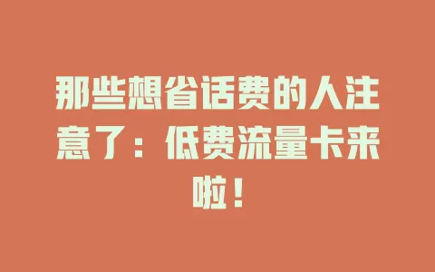 那些想省话费的人注意了：低费流量卡来啦！