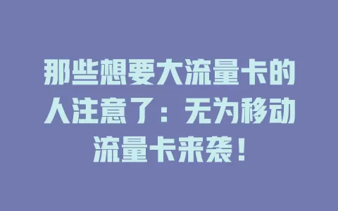 那些想要大流量卡的人注意了：无为移动流量卡来袭！
