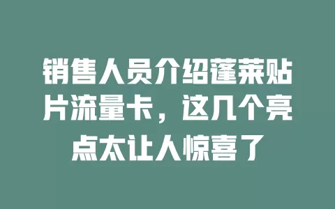 销售人员介绍蓬莱贴片流量卡，这几个亮点太让人惊喜了