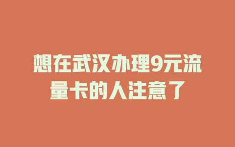 想在武汉办理9元流量卡的人注意了