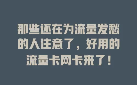 那些还在为流量发愁的人注意了，好用的流量卡网卡来了！
