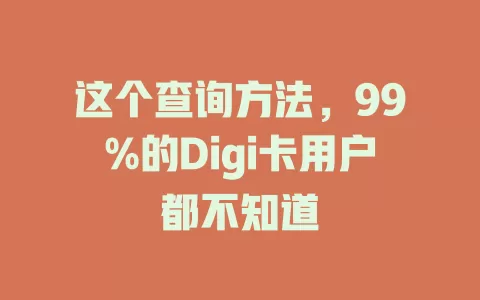 这个查询方法，99%的Digi卡用户都不知道