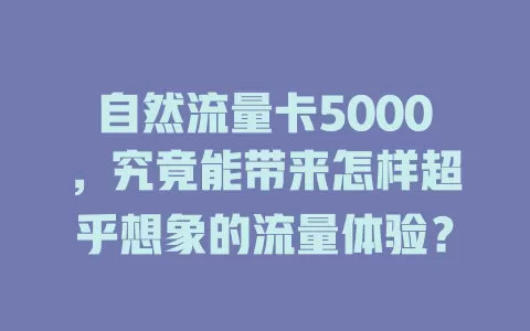 自然流量卡5000，究竟能带来怎样超乎想象的流量体验？