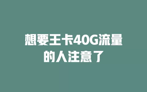 想要王卡40G流量的人注意了
