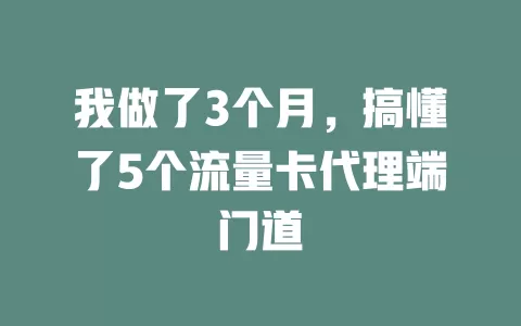 我做了3个月，搞懂了5个流量卡代理端门道