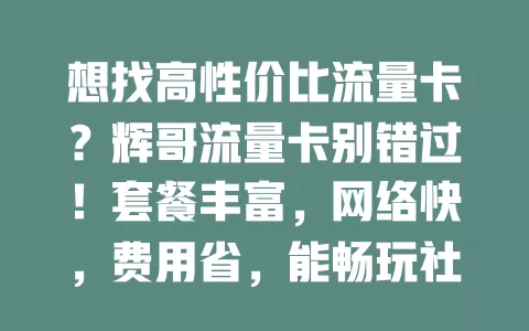 想找高性价比流量卡？辉哥流量卡别错过！套餐丰富，网络快，费用省，能畅玩社交娱乐，让数字生活更精彩
