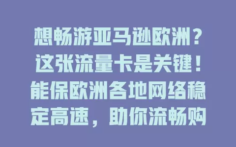 想畅游亚马逊欧洲？这张流量卡是关键！能保欧洲各地网络稳定高速，助你流畅购物、高效沟通，开启畅快欧洲购物之旅