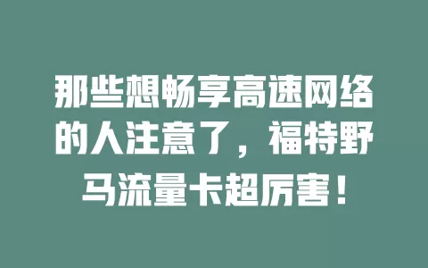 那些想畅享高速网络的人注意了，福特野马流量卡超厉害！