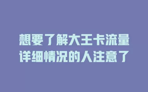 想要了解大王卡流量详细情况的人注意了