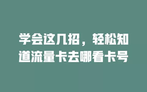 学会这几招，轻松知道流量卡去哪看卡号