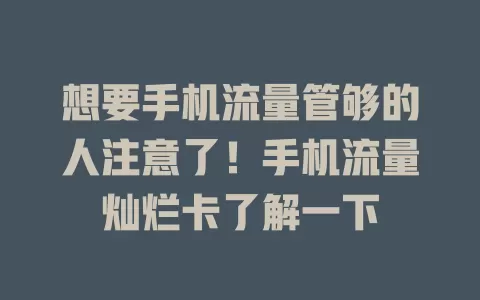 想要手机流量管够的人注意了！手机流量灿烂卡了解一下