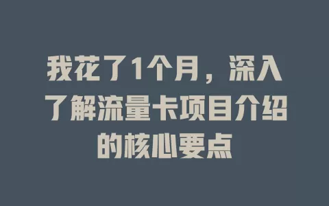 我花了1个月，深入了解流量卡项目介绍的核心要点