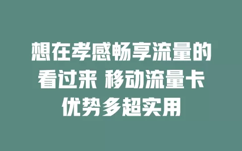 想在孝感畅享流量的看过来 移动流量卡优势多超实用
