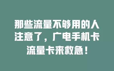 那些流量不够用的人注意了，广电手机卡流量卡来救急！