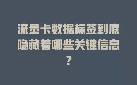 流量卡数据标签到底隐藏着哪些关键信息？