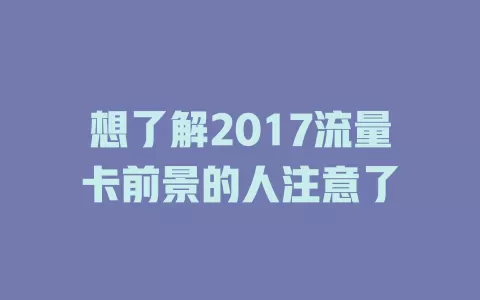 想了解2017流量卡前景的人注意了