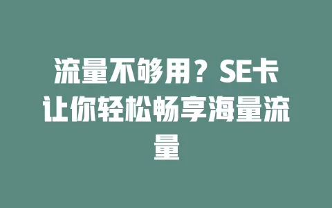 流量不够用？SE卡让你轻松畅享海量流量