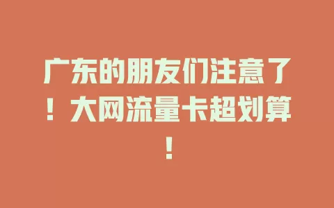广东的朋友们注意了！大网流量卡超划算！