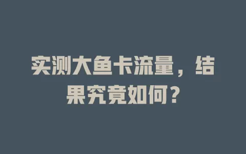 实测大鱼卡流量，结果究竟如何？