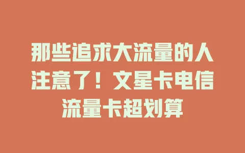 那些追求大流量的人注意了！文星卡电信流量卡超划算