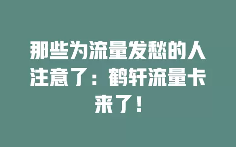 那些为流量发愁的人注意了：鹤轩流量卡来了！