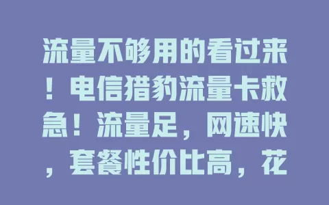 流量不够用的看过来！电信猎豹流量卡救急！流量足，网速快，套餐性价比高，花小钱享大量流量，轻松实现流量自由！