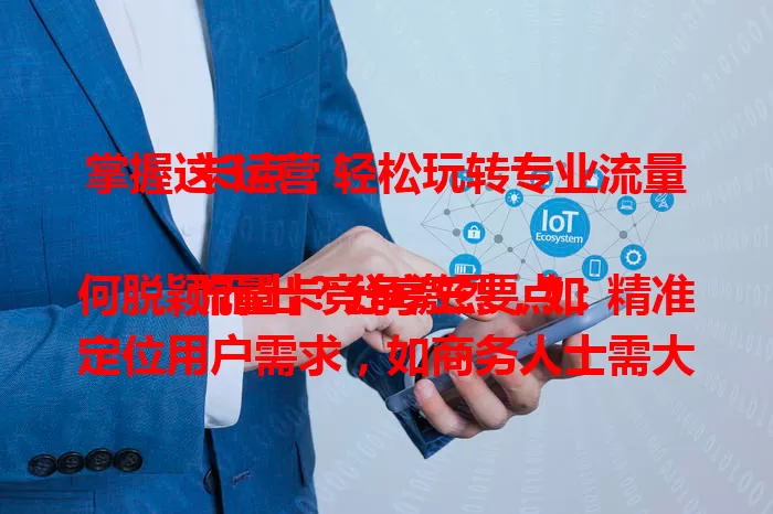 掌握这3点，轻松玩转专业流量卡运营

流量卡竞争激烈，如何脱颖而出？分享三要点：精准定位用户需求，如商务人士需大流量全国通，学生看重性价比；优化套餐设计，合理搭配资源并设增值服务；提供优质服务，涵盖售前售后。做到这些就能在市场占得一席之地。