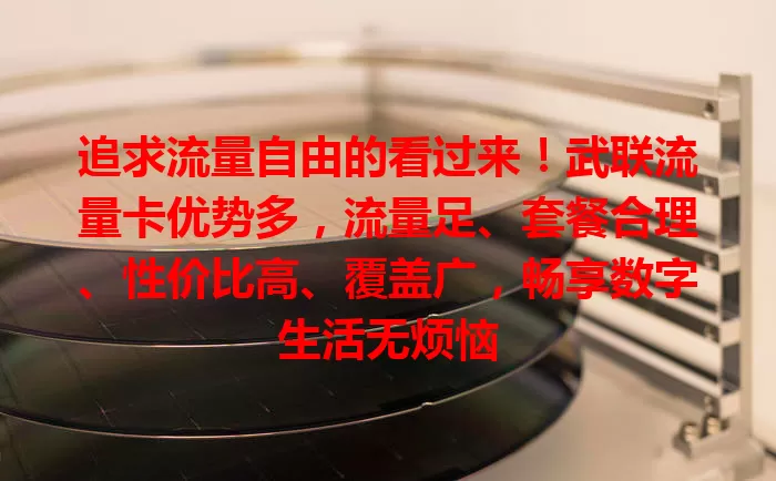 追求流量自由的看过来！武联流量卡优势多，流量足、套餐合理、性价比高、覆盖广，畅享数字生活无烦恼