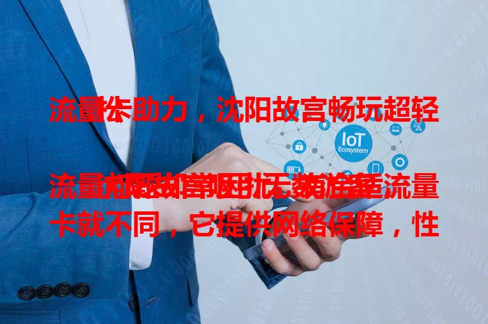 流量卡助力，沈阳故宫畅玩超轻松

沈阳故宫吸引无数游客，流量问题却常困扰。有合适流量卡就不同，它提供网络保障，性价比高办理便捷，像贴心伴侣助你完美体验，让历史之旅多彩顺畅。