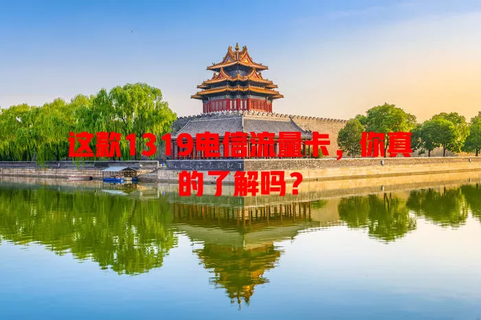 这款1319电信流量卡，你真的了解吗？