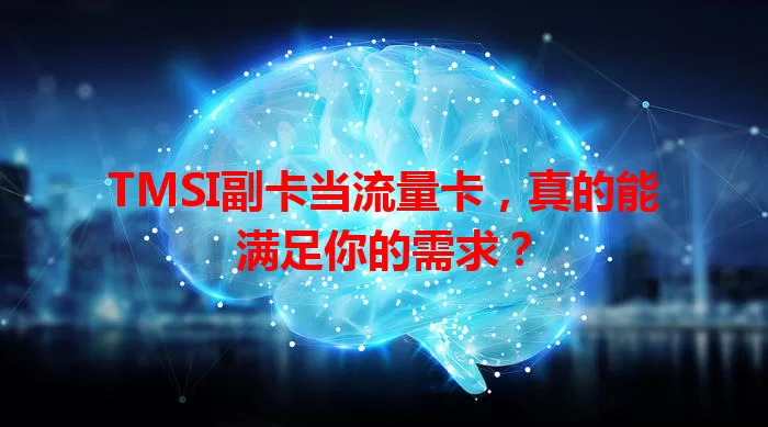 TMSI副卡当流量卡，真的能满足你的需求？