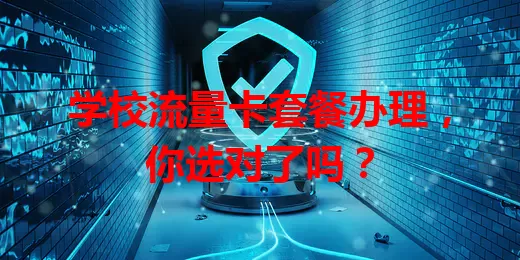 学校流量卡套餐办理，你选对了吗？