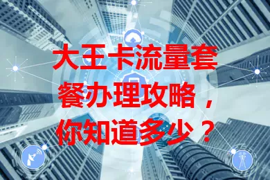 大王卡流量套餐办理攻略，你知道多少？
