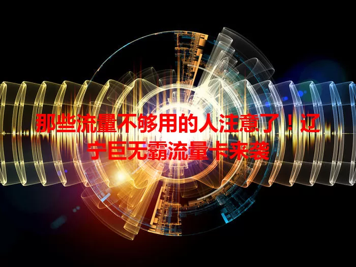 那些流量不够用的人注意了！辽宁巨无霸流量卡来袭