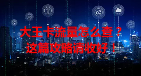 大王卡流量怎么查？这篇攻略请收好！