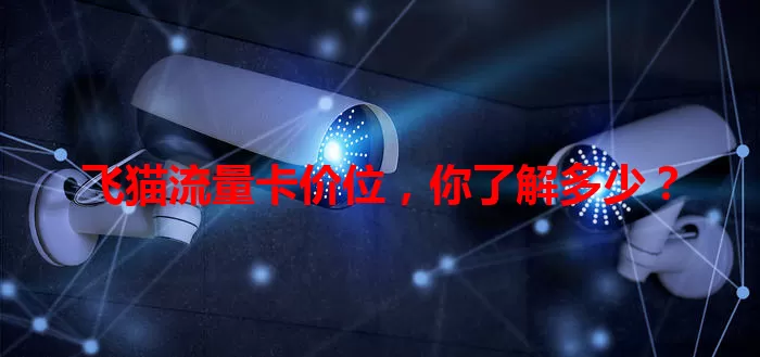 飞猫流量卡价位，你了解多少？