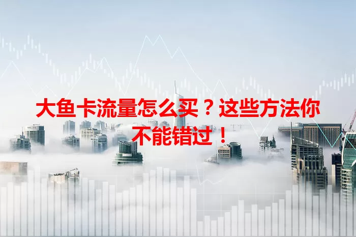 大鱼卡流量怎么买？这些方法你不能错过！